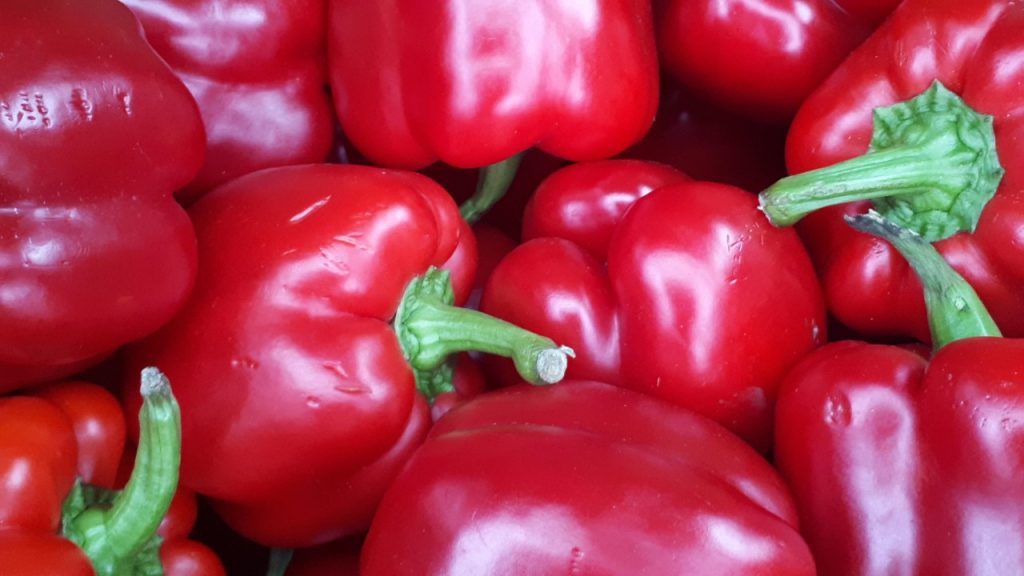 Rode paprika De Galgehoeve